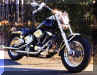 blackbike2.JPG (33990 bytes)