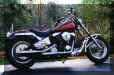 redbike1.JPG (25798 bytes)